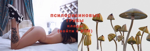 не бодяженный Богородицк
