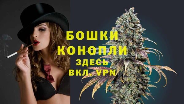 мдпв Богданович