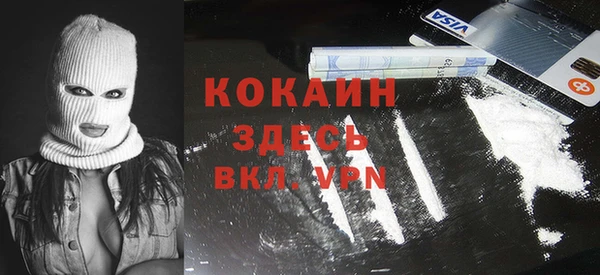 мдпв Богданович