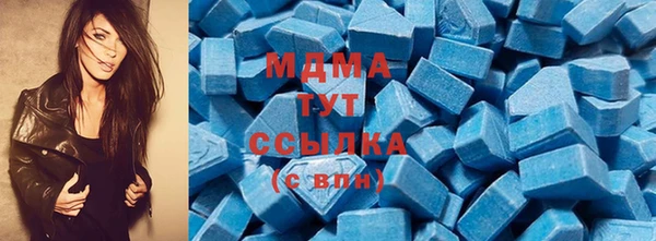 мдпв Богданович