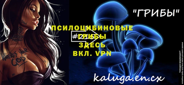 мдпв Богданович
